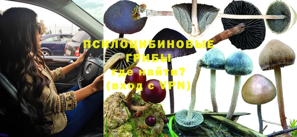 ешки Зеленодольск