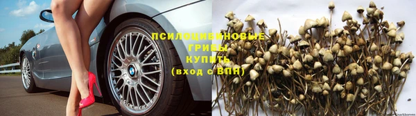 ешки Зеленодольск